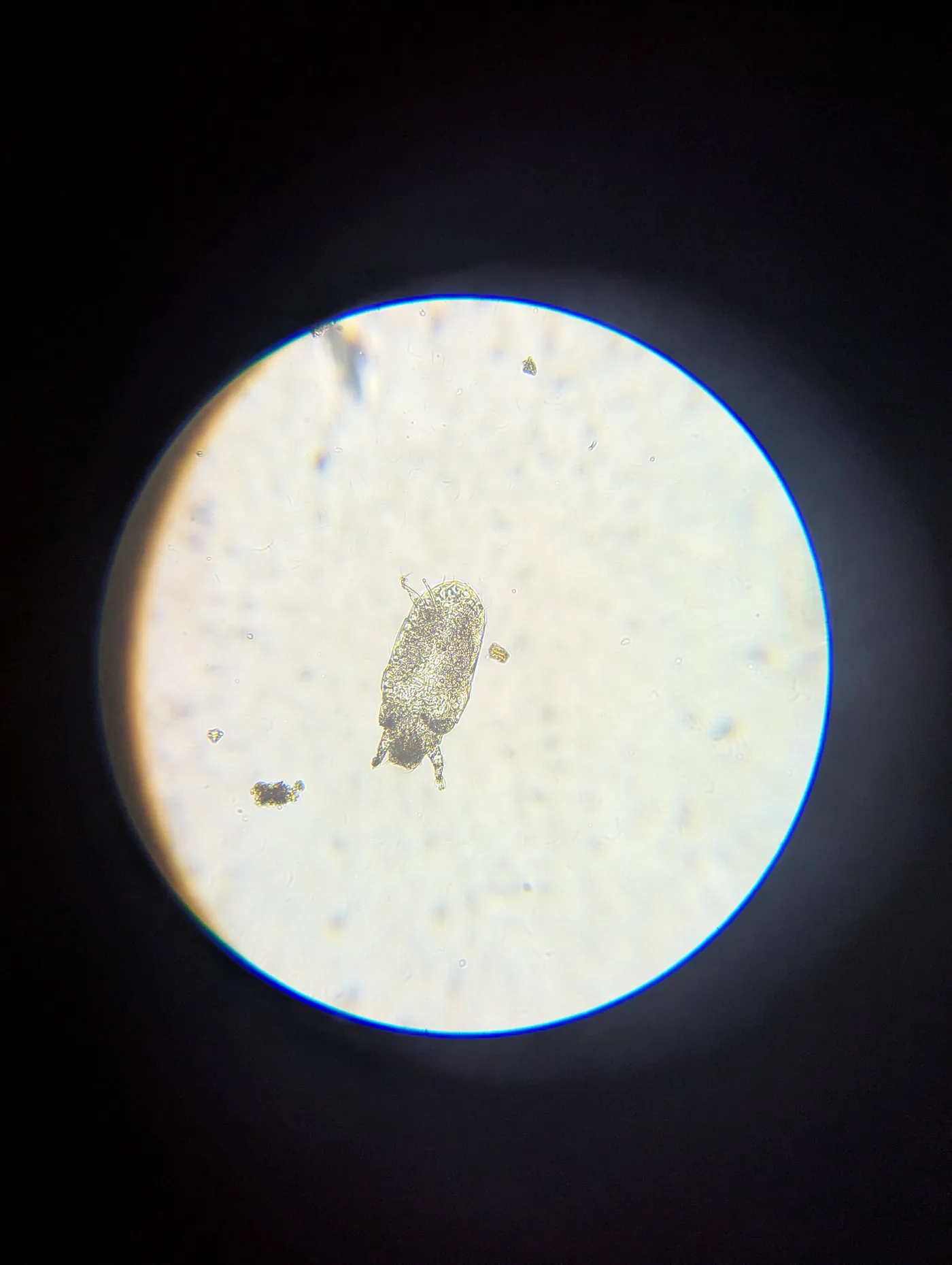 California ecosystem