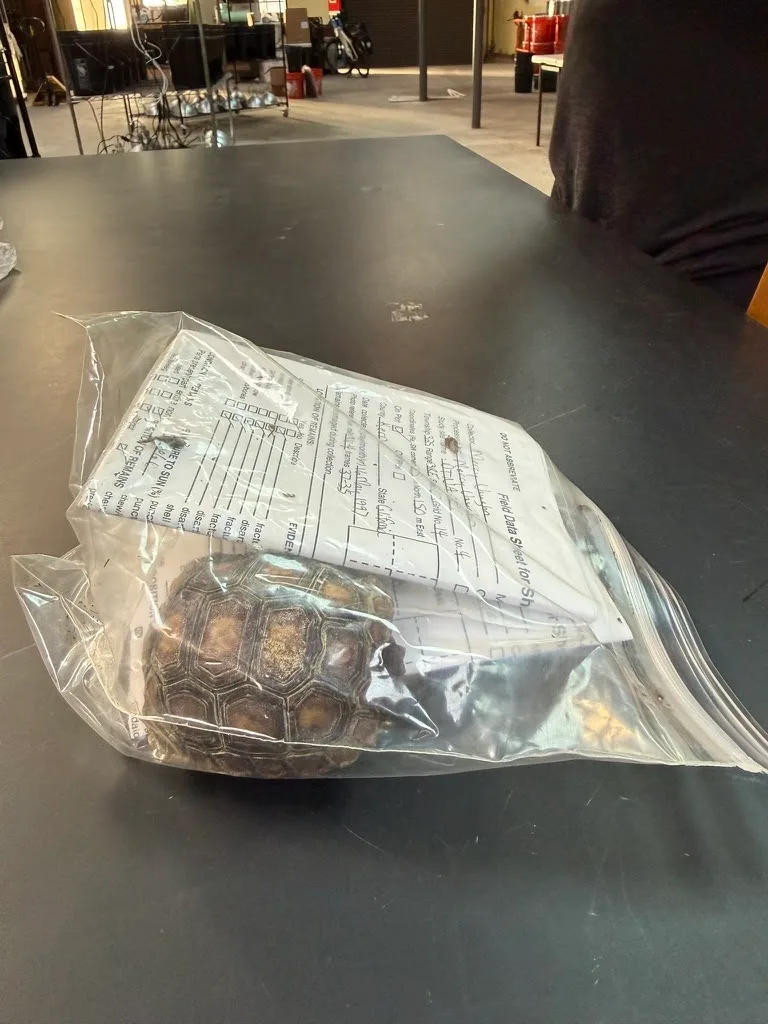 California Biorepository — Biotype Alpha: Coastal Canopy