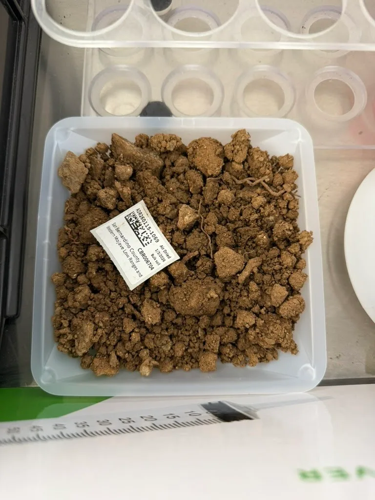 Laboratory lyophilization equipment