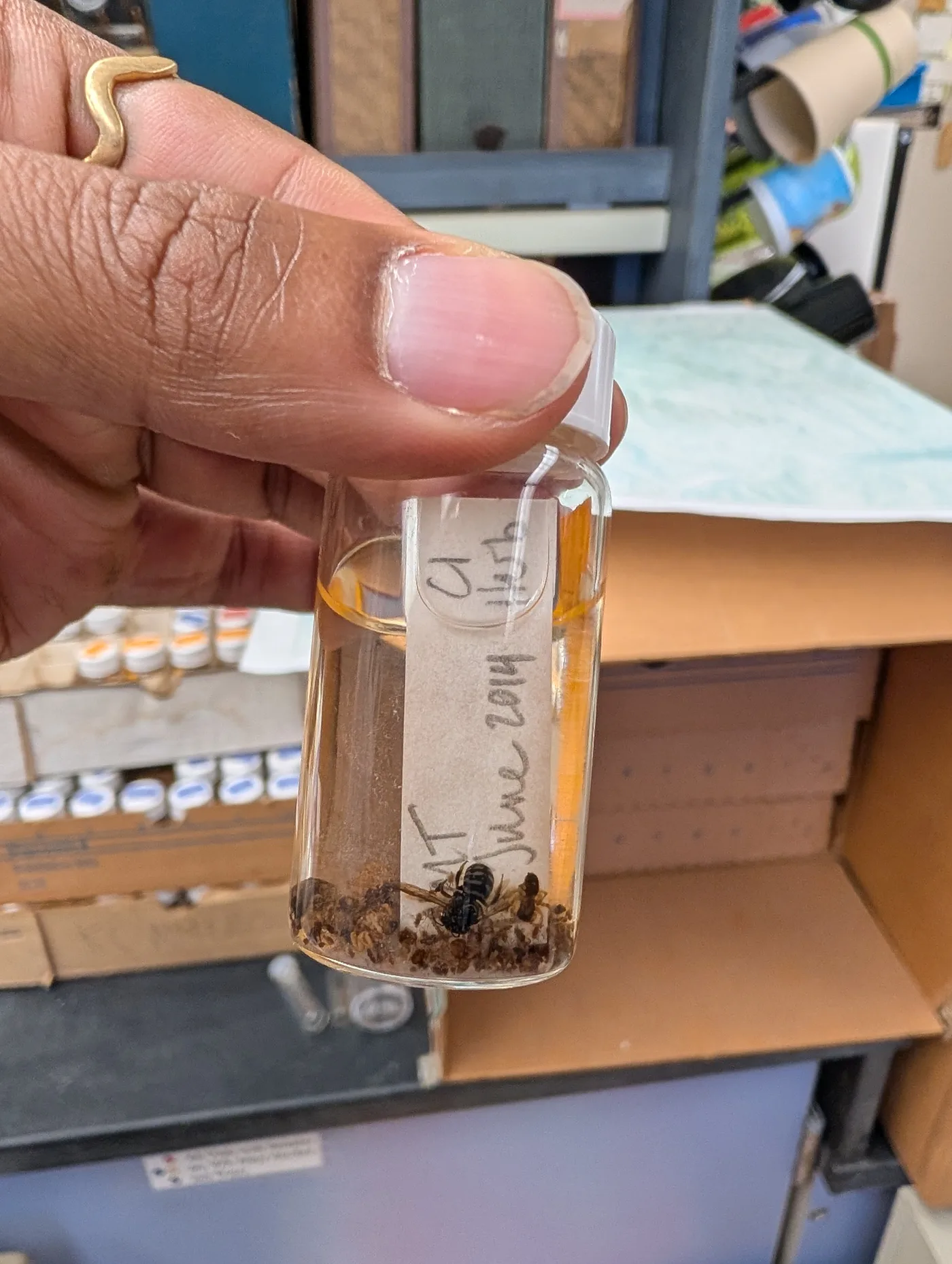 Precise extraction protocol