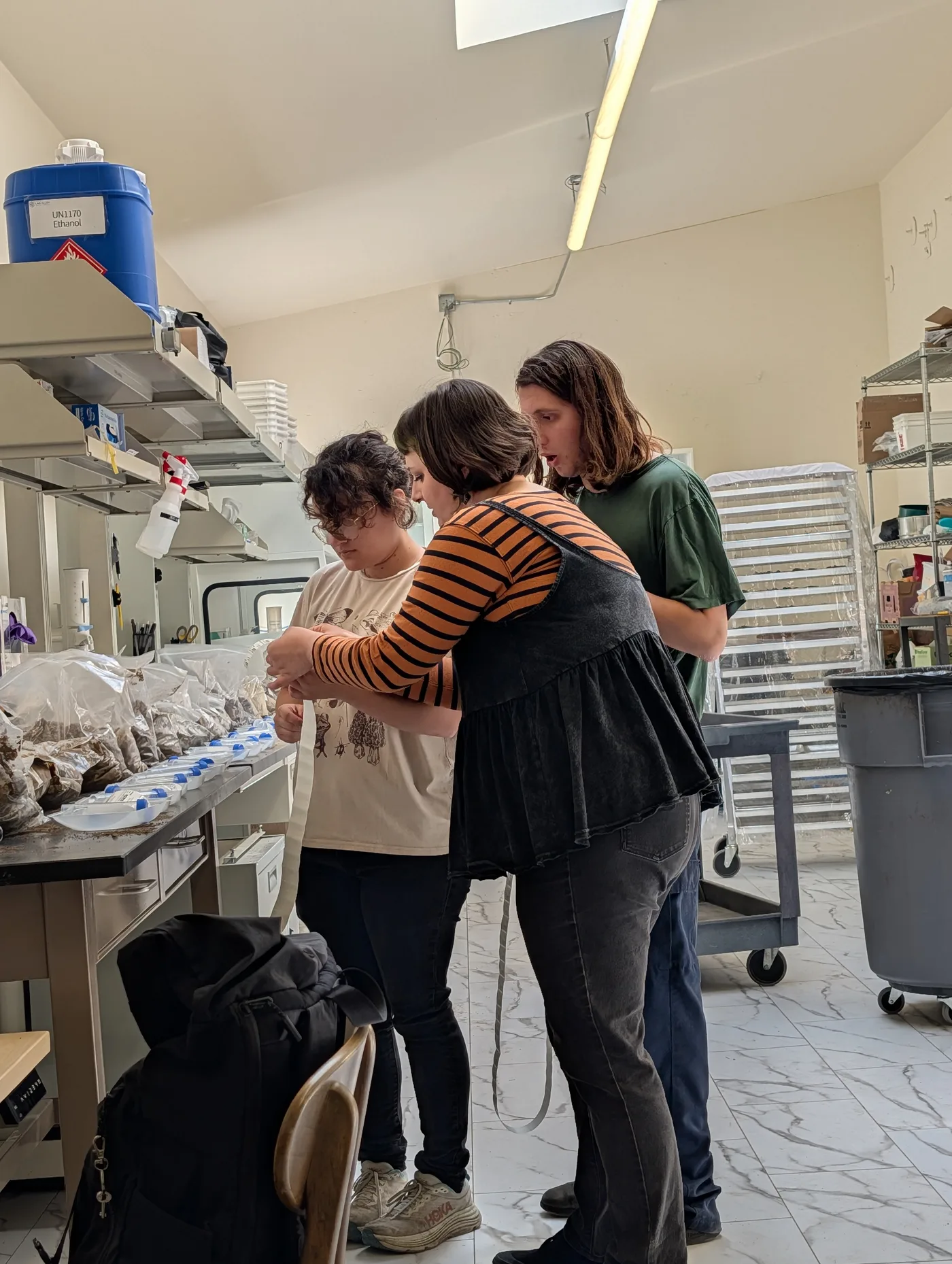 Organized sample archive