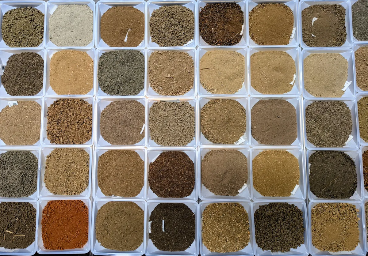 California Biorepository