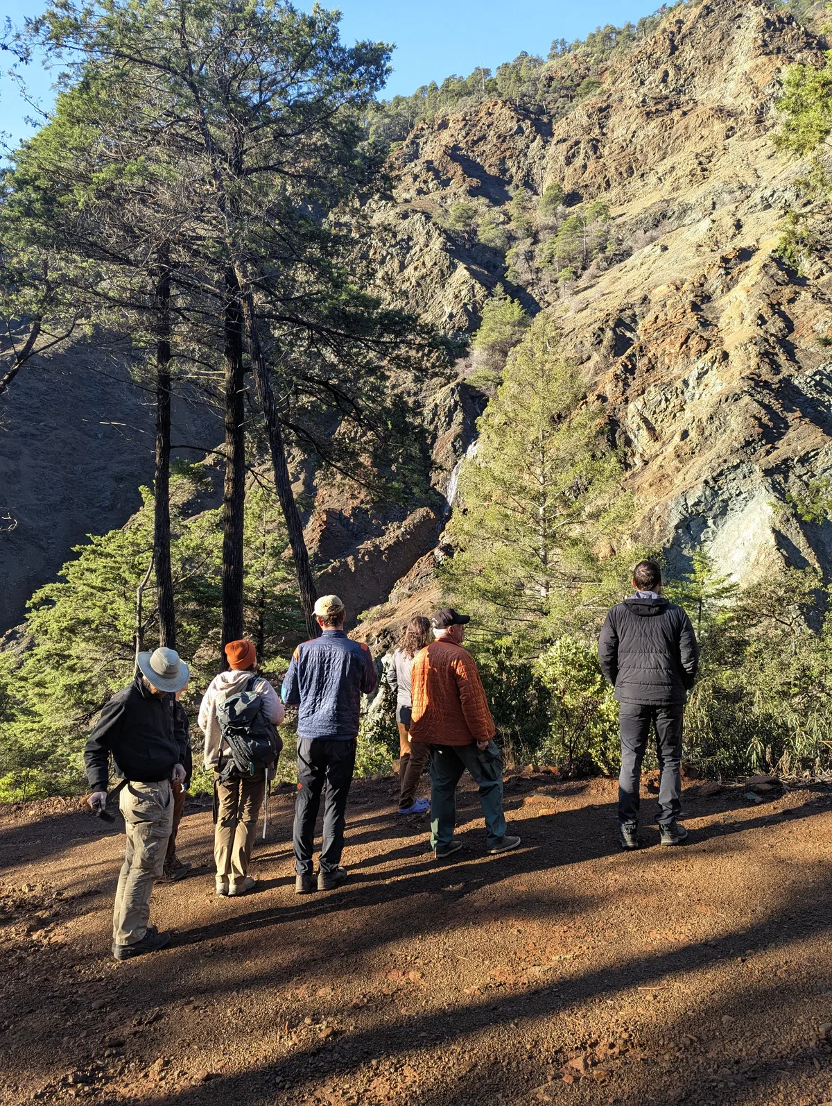 Project Coordination